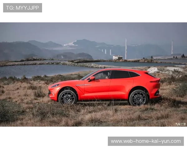 专业评估机构介入招商流程在当前阶段显著提升了交易的透明度